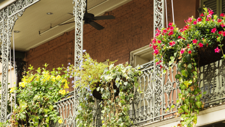 GNO Property Management